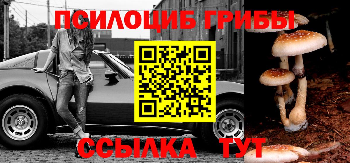 Курганинск  как найти закладки  Вход с VPN  Псилоцибиновые грибы MAGIC MUSHROOMS 