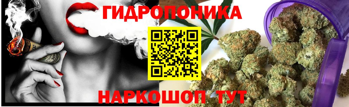 Бошки Шишки сатива Курганинск